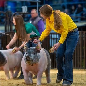 Meet your Posher, Auburn